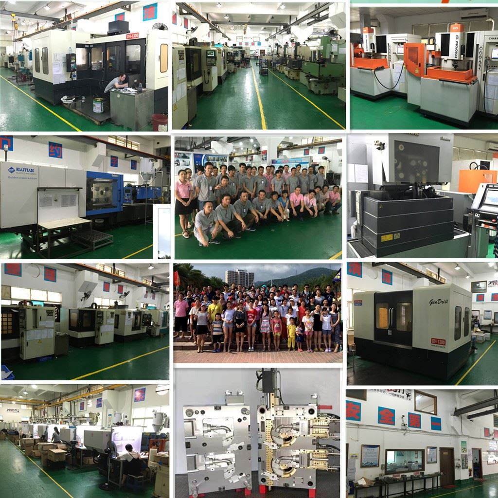ABIS MOLD PICTURE